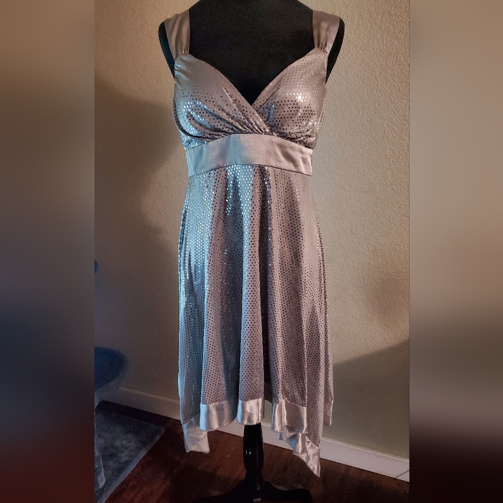 Appropriate Behavior Silver/Grey Sequin Dress Siz… - image 1